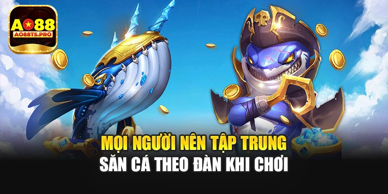 Mọi người nên tập trung săn cá theo đàn khi chơi